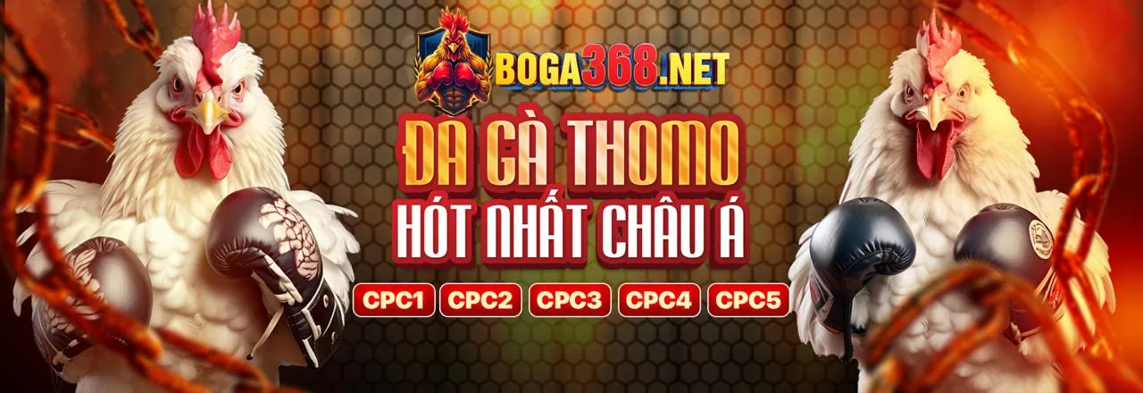 Tin tức 123b đăng nhập mới nhất, cập nhật thể thao và casino